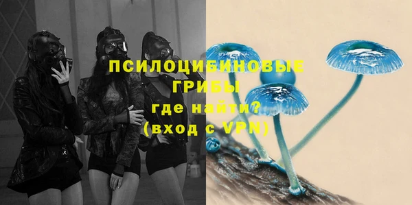 дживик Алексеевка