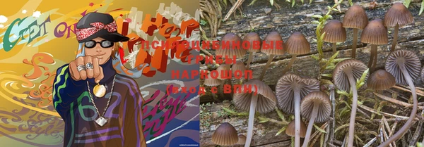 дживик Алексеевка