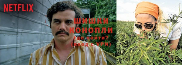 дживик Алексеевка