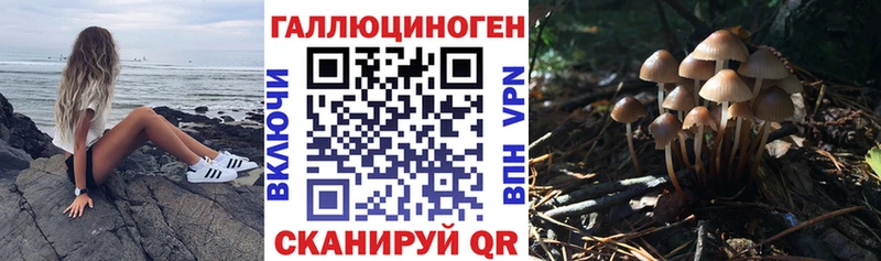 мега вход  Болохово  Псилоцибиновые грибы мухоморы 